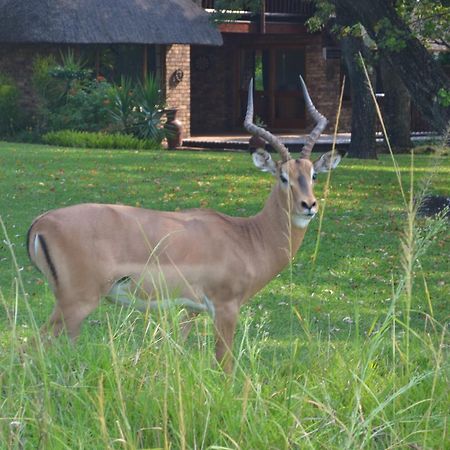 Kruger Park Lodge - Golf Safari Sa Hazyview Buitenkant foto