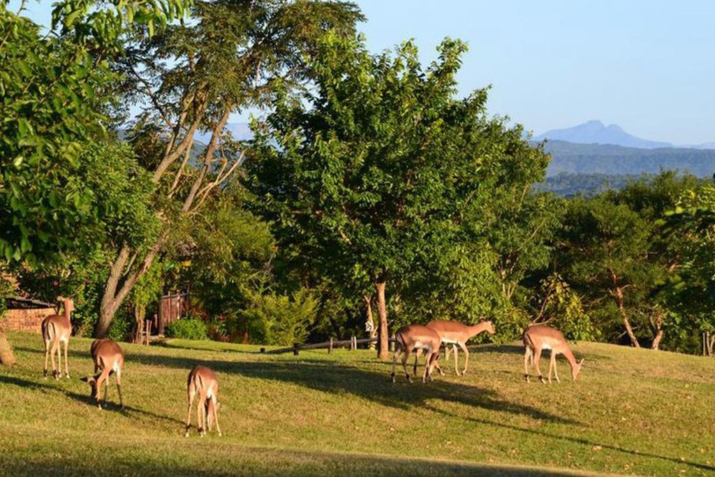 Kruger Park Lodge - Golf Safari Sa Hazyview Buitenkant foto