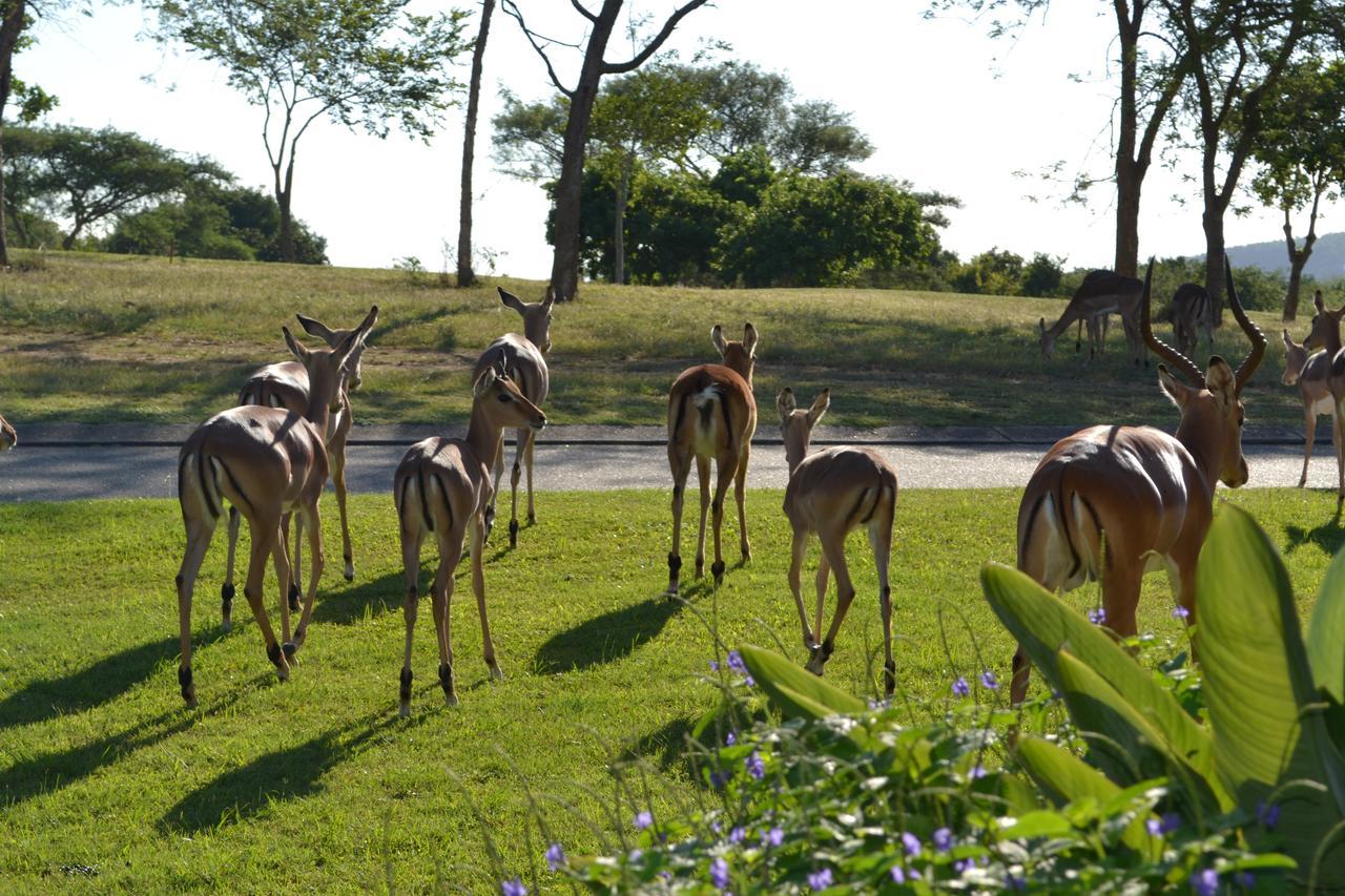 Kruger Park Lodge - Golf Safari Sa Hazyview Buitenkant foto